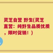 灵芝自营 野生(灵芝直营：纯野生品质优质，限时促销！)