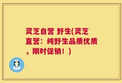灵芝自营 野生(灵芝直营：纯野生品质优质，限时促销！)