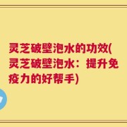 灵芝破壁泡水的功效(灵芝破壁泡水：提升免疫力的好帮手)