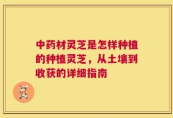 中药材灵芝是怎样种植的种植灵芝，从土壤到收获的详细指南
