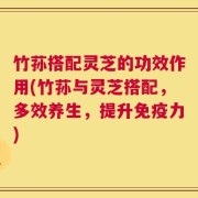 竹荪搭配灵芝的功效作用(竹荪与灵芝搭配，多效养生，提升免疫力)