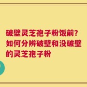 破壁灵芝孢子粉饭前？如何分辨破壁和没破壁的灵芝孢子粉