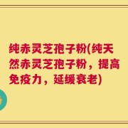 纯赤灵芝孢子粉(纯天然赤灵芝孢子粉，提高免疫力，延缓衰老)