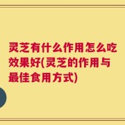 灵芝有什么作用怎么吃效果好(灵芝的作用与最佳食用方式)