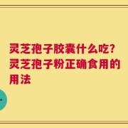 灵芝孢子胶囊什么吃？灵芝孢子粉正确食用的用法