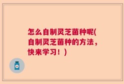 怎么自制灵芝菌种呢(自制灵芝菌种的方法，快来学习！)