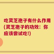 吃灵芝孢子有什么作用(灵芝孢子的功效：你应该尝试吃!)