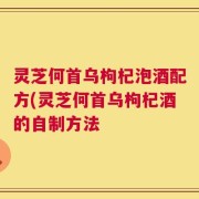灵芝何首乌枸杞泡酒配方(灵芝何首乌枸杞酒的自制方法