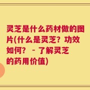 灵芝是什么药材做的图片(什么是灵芝？功效如何？ - 了解灵芝的药用价值)