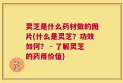 灵芝是什么药材做的图片(什么是灵芝？功效如何？ - 了解灵芝的药用价值)