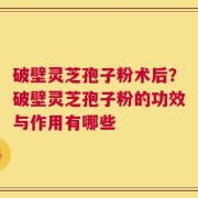 破壁灵芝孢子粉术后？破壁灵芝孢子粉的功效与作用有哪些
