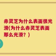 赤灵芝为什么表面很光滑(为什么赤灵芝表面那么光滑？)