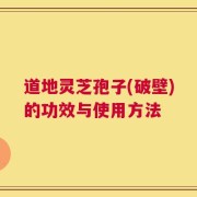 道地灵芝孢子(破壁)的功效与使用方法