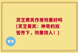 灵芝黄芪作用效果好吗(灵芝黄芪：神奇的双管齐下，效果惊人！)