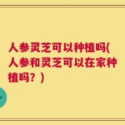 人参灵芝可以种植吗(人参和灵芝可以在家种植吗？)