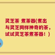灵芝茶 煮茶器(煮出与灵芝同样神奇的茶，试试灵芝茶煮茶器！)