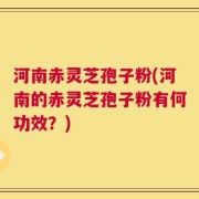 河南赤灵芝孢子粉(河南的赤灵芝孢子粉有何功效？)