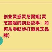 创业灵感灵芝霞姐(灵芝霞姐的创业故事：如何从零起步打造灵芝品牌)