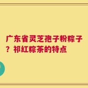 广东省灵芝孢子粉粽子？祁红粽茶的特点