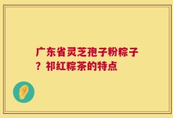 广东省灵芝孢子粉粽子？祁红粽茶的特点