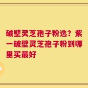 破壁灵芝孢子粉选？紫一破壁灵芝孢子粉到哪里买最好