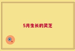 5月生长的灵芝