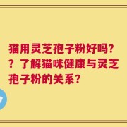 猫用灵芝孢子粉好吗？？了解猫咪健康与灵芝孢子粉的关系？