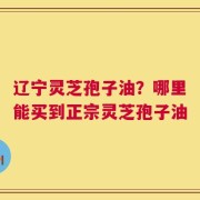 辽宁灵芝孢子油？哪里能买到正宗灵芝孢子油