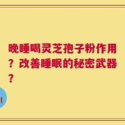晚睡喝灵芝孢子粉作用？改善睡眠的秘密武器？