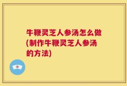 牛鞭灵芝人参汤怎么做(制作牛鞭灵芝人参汤的方法)