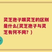 灵芝孢子跟灵芝的区别是什么(灵芝孢子与灵芝有何不同？)