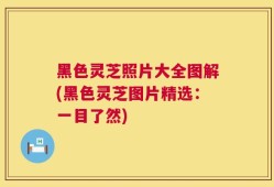 黑色灵芝照片大全图解(黑色灵芝图片精选：一目了然)