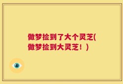 做梦捡到了大个灵芝(做梦捡到大灵芝！)