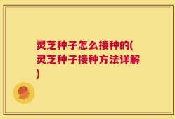 灵芝种子怎么接种的(灵芝种子接种方法详解)