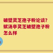 破壁灵芝孢子粉论谈？赋汤亭灵芝破壁孢子粉怎么样