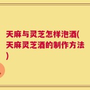 天麻与灵芝怎样泡酒(天麻灵芝酒的制作方法)