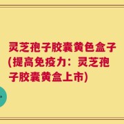 灵芝孢子胶囊黄色盒子(提高免疫力：灵芝孢子胶囊黄盒上市)