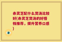 赤灵芝配什么煲汤比较好(赤灵芝煲汤的好搭档推荐，提升营养口感)