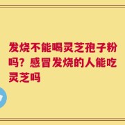 发烧不能喝灵芝孢子粉吗？感冒发烧的人能吃灵芝吗