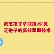 灵芝孢子萃取技术(灵芝孢子的高效萃取技术