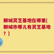 聊城灵芝基地在哪里(聊城市哪儿有灵芝基地？)