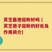 灵芝菌孢菇粉好吗 (灵芝孢子菇粉的好处及作用简介)