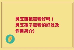 灵芝菌孢菇粉好吗 (灵芝孢子菇粉的好处及作用简介)