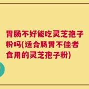 胃肠不好能吃灵芝孢子粉吗(适合肠胃不佳者食用的灵芝孢子粉)
