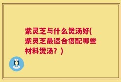 紫灵芝与什么煲汤好(紫灵芝最适合搭配哪些材料煲汤？)