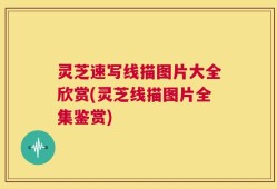 灵芝速写线描图片大全欣赏(灵芝线描图片全集鉴赏)