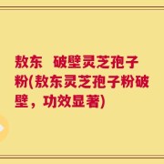敖东  破壁灵芝孢子粉(敖东灵芝孢子粉破壁，功效显著)