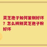 灵芝孢子如何鉴别好坏？怎么辨别灵芝孢子粉好坏