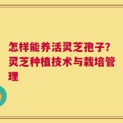怎样能养活灵芝孢子？灵芝种植技术与栽培管理