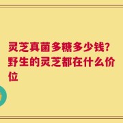 灵芝真菌多糖多少钱？野生的灵芝都在什么价位